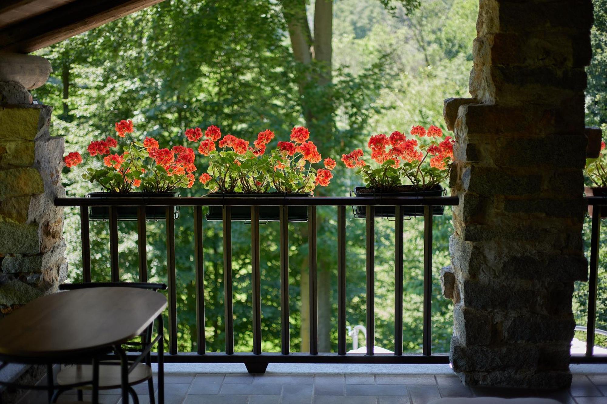 Villetta Con Giardino ⭑⭑⭑⭑⭑ - Wifi, Dogs Allowed Biella Dış mekan fotoğraf